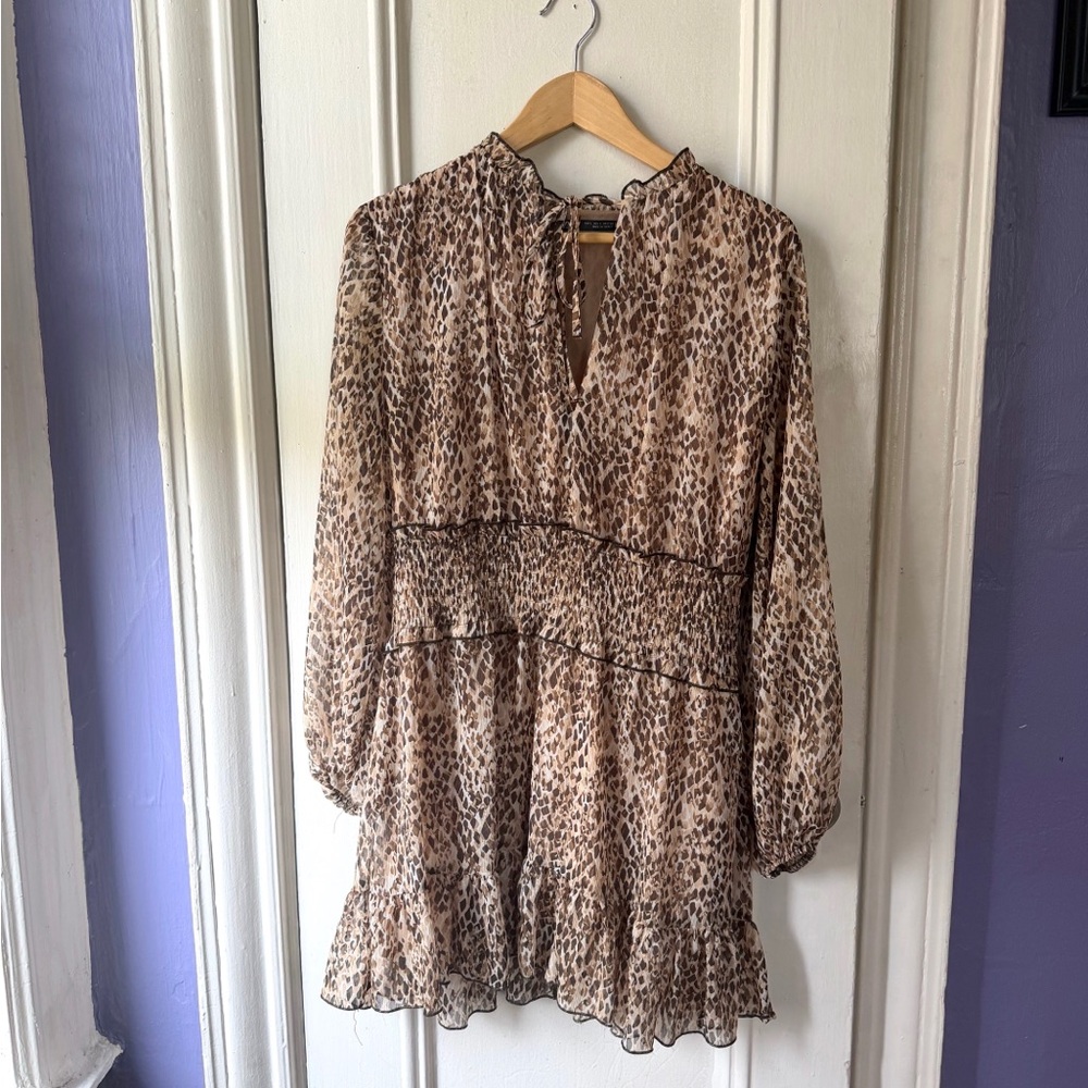 Zara Leopard Print Mini Dress